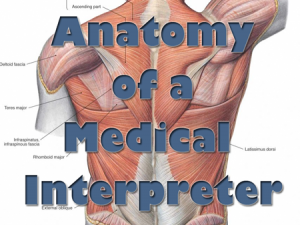 Anatomy of a Medical Interpreter (text overlay on model of human back showing musculature)